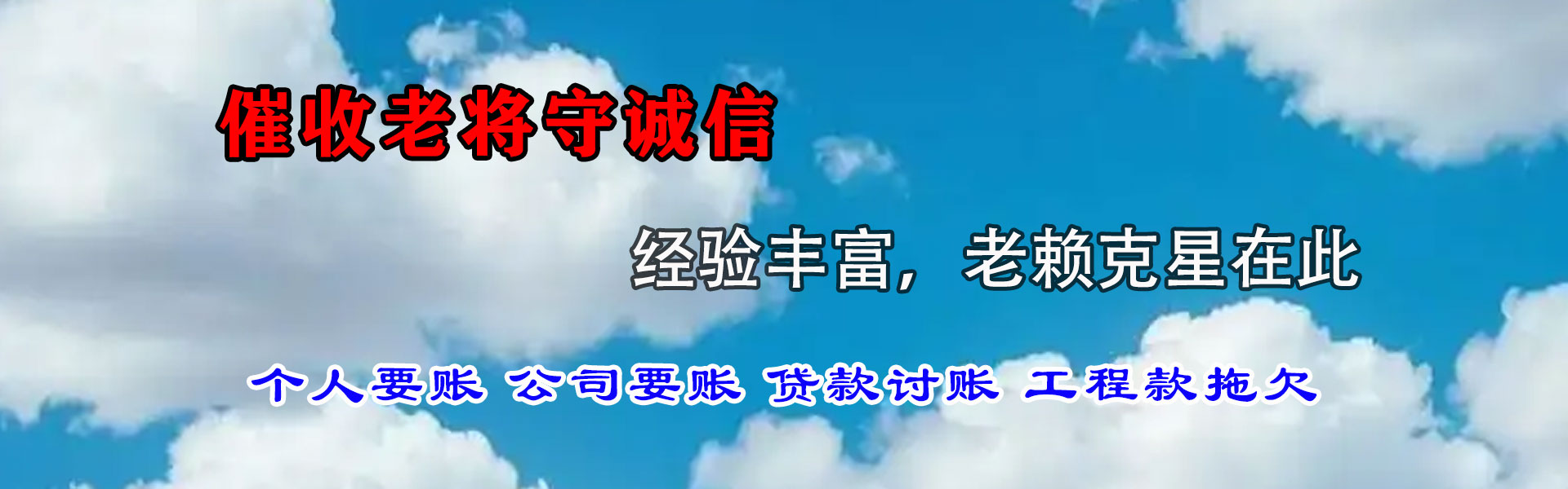 广丰收债公司